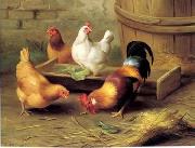 unknow artist Cocks 134 France oil painting artist